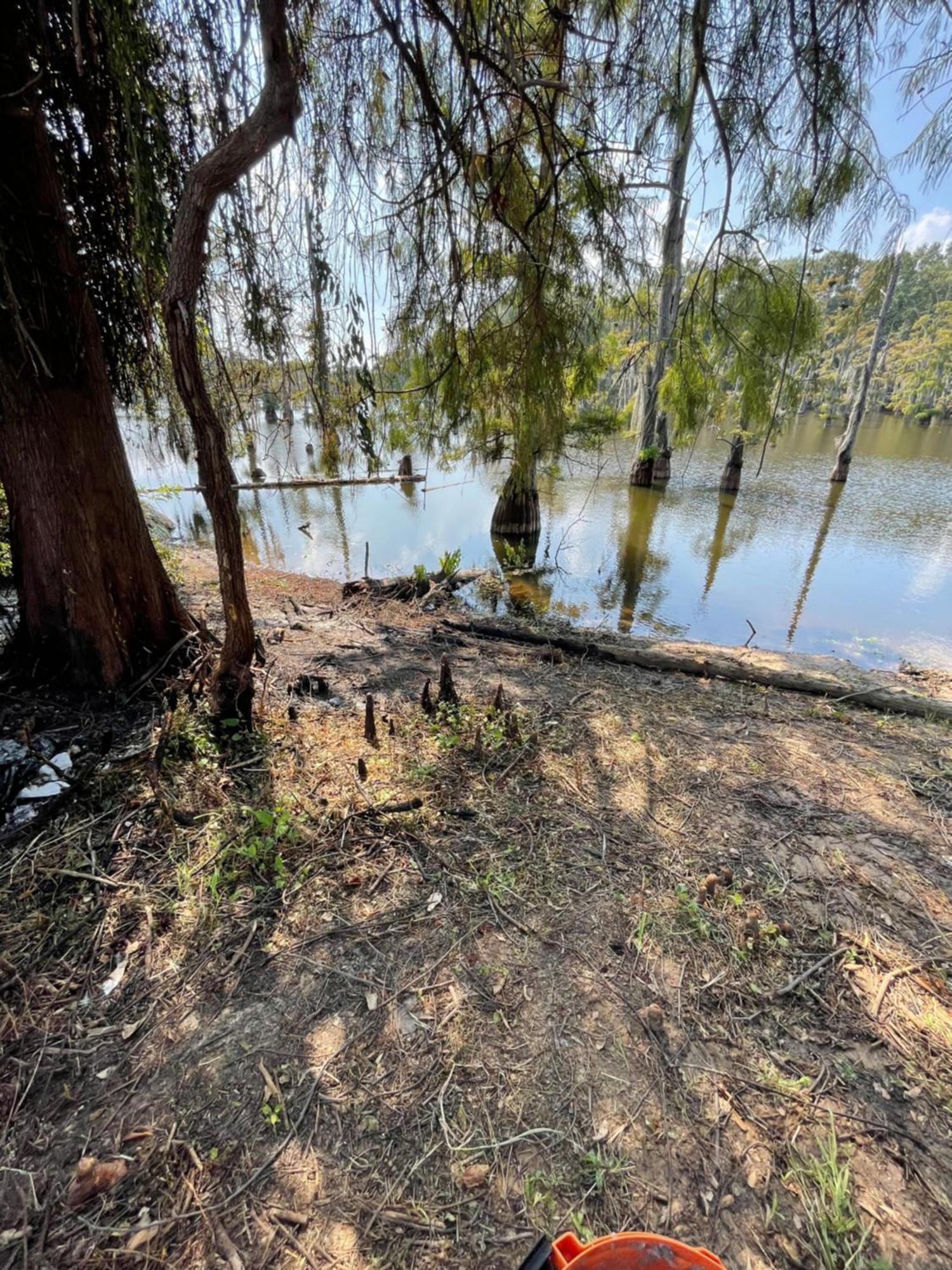 Bayou And Beyond Bayou View Monroe Extérieur photo